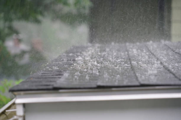Best Roof Leak Repair  in Chico, CA