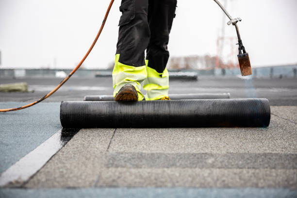 Best Solar Panel Roofing Installation  in Chico, CA